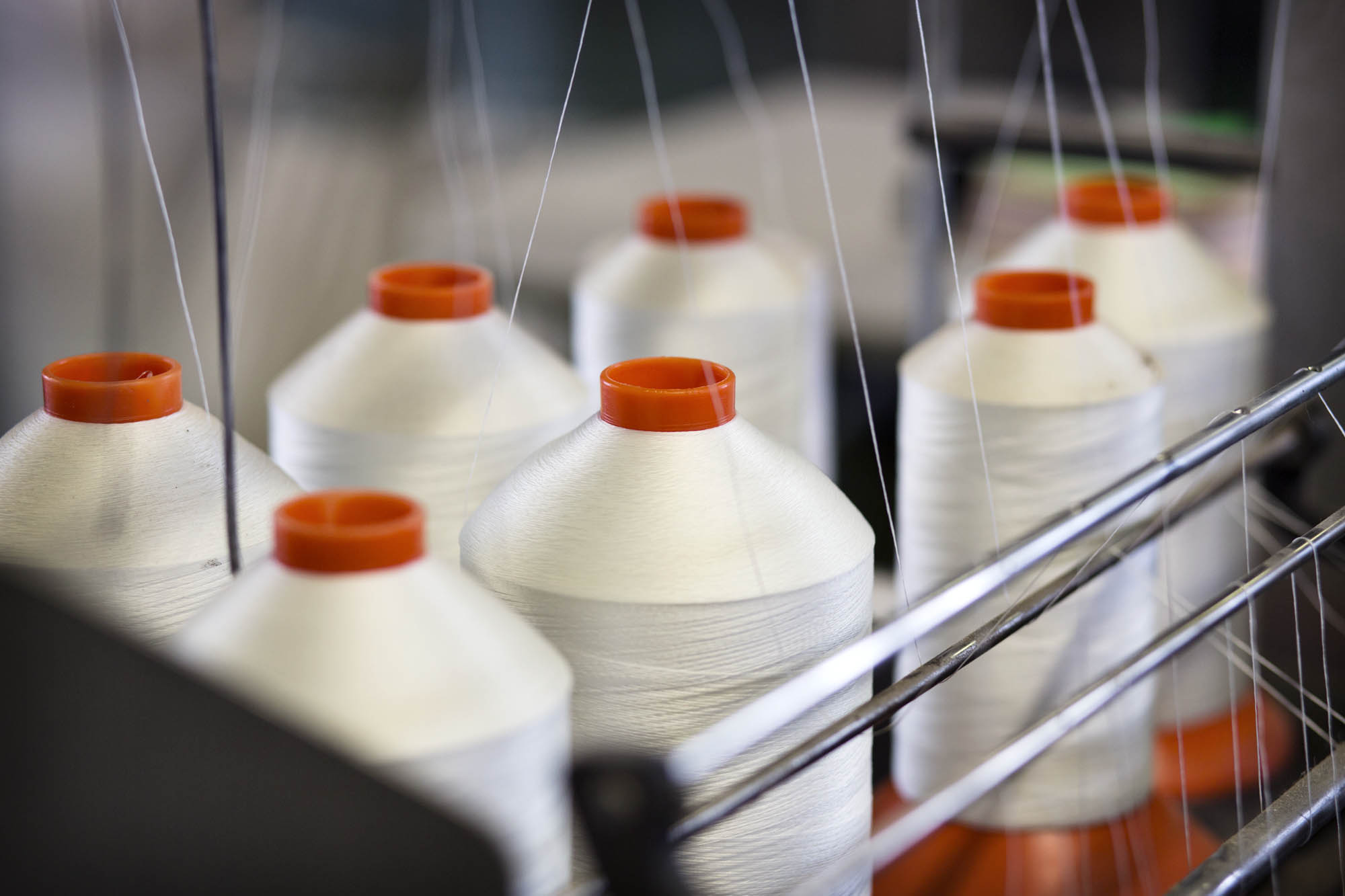 Foto CORPORATE Asolo  G.S. Stampa