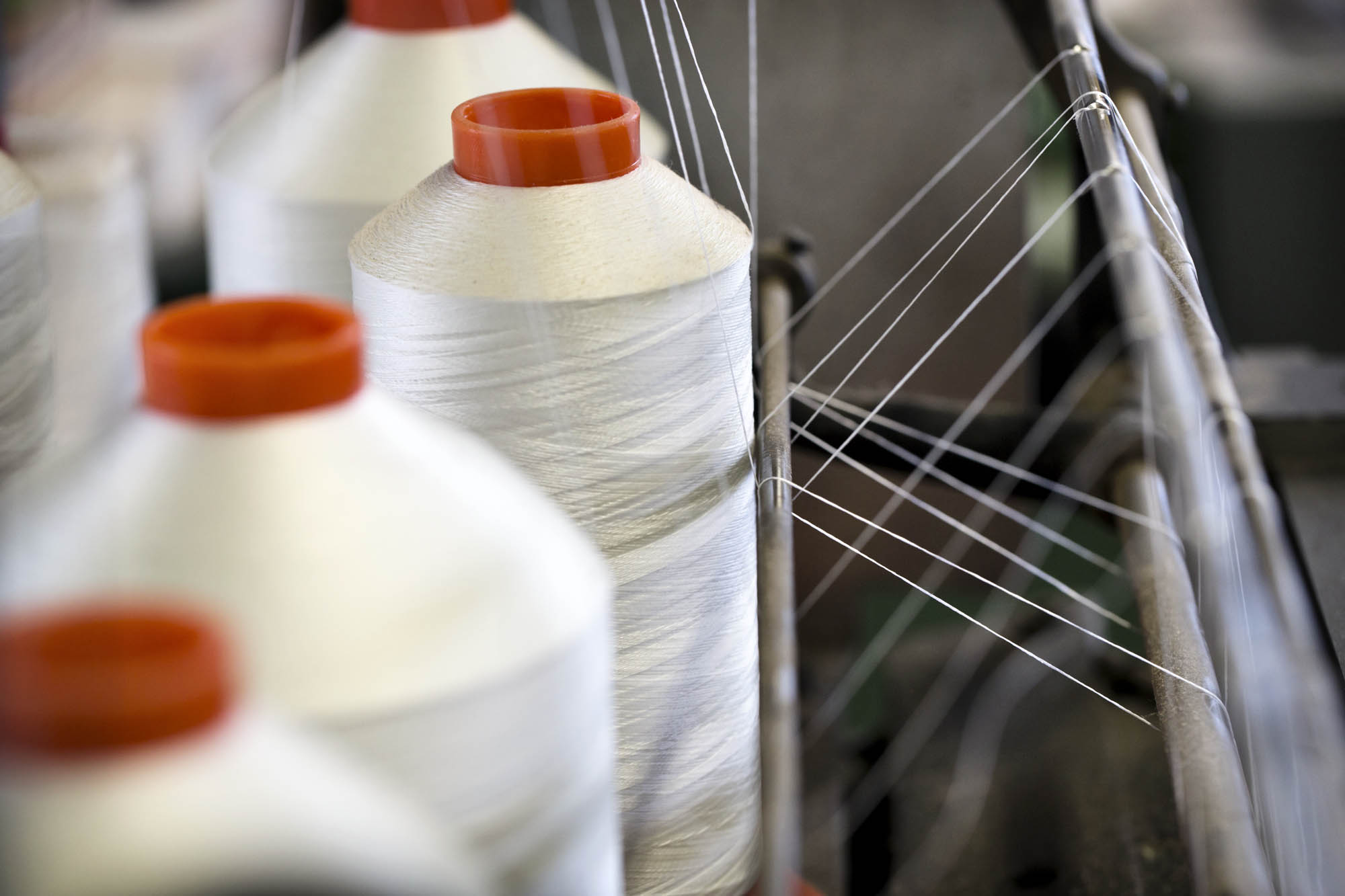 Foto CORPORATE Asolo  G.S. Stampa