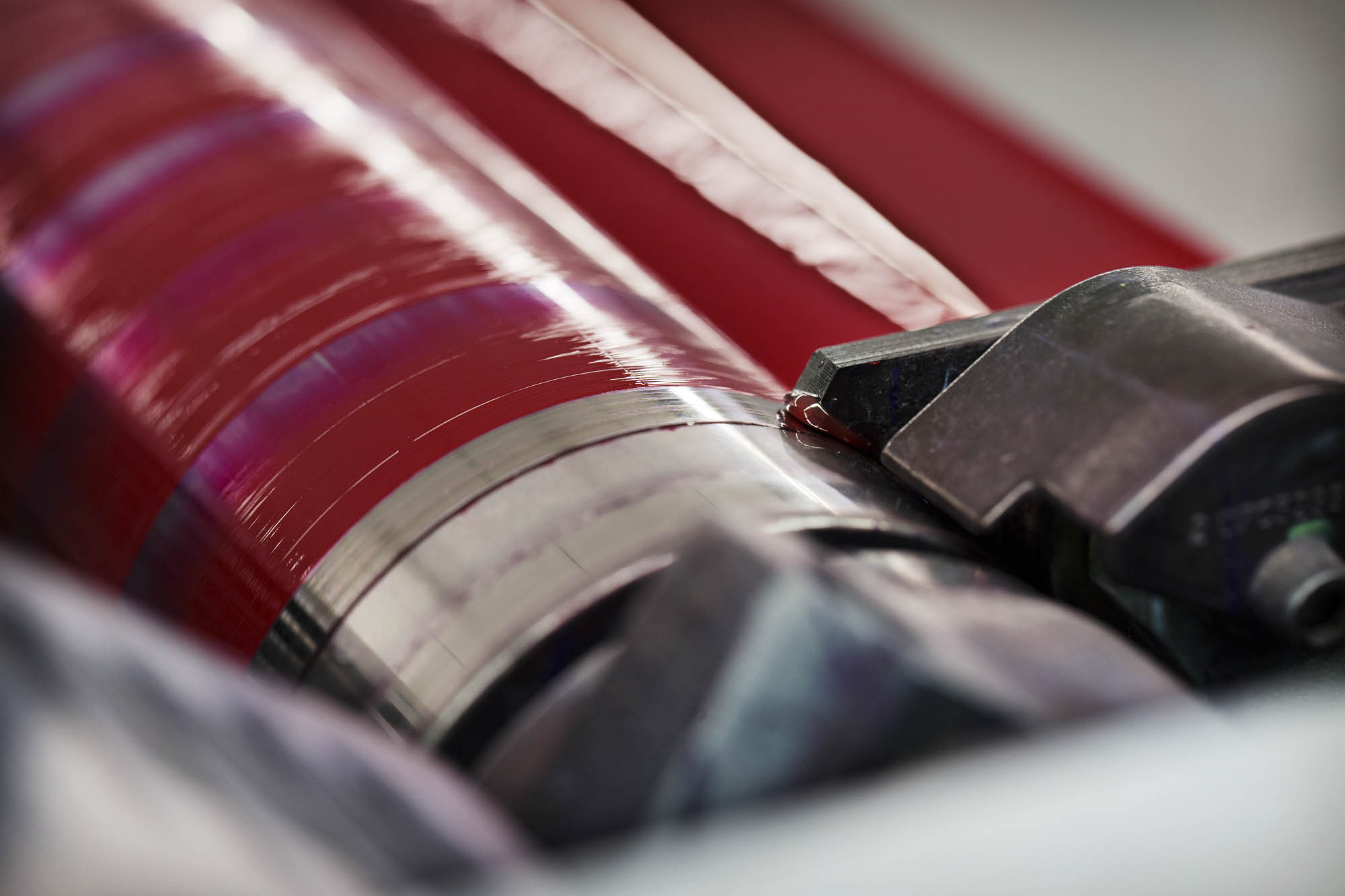 Foto CORPORATE Asolo  G.S. Stampa