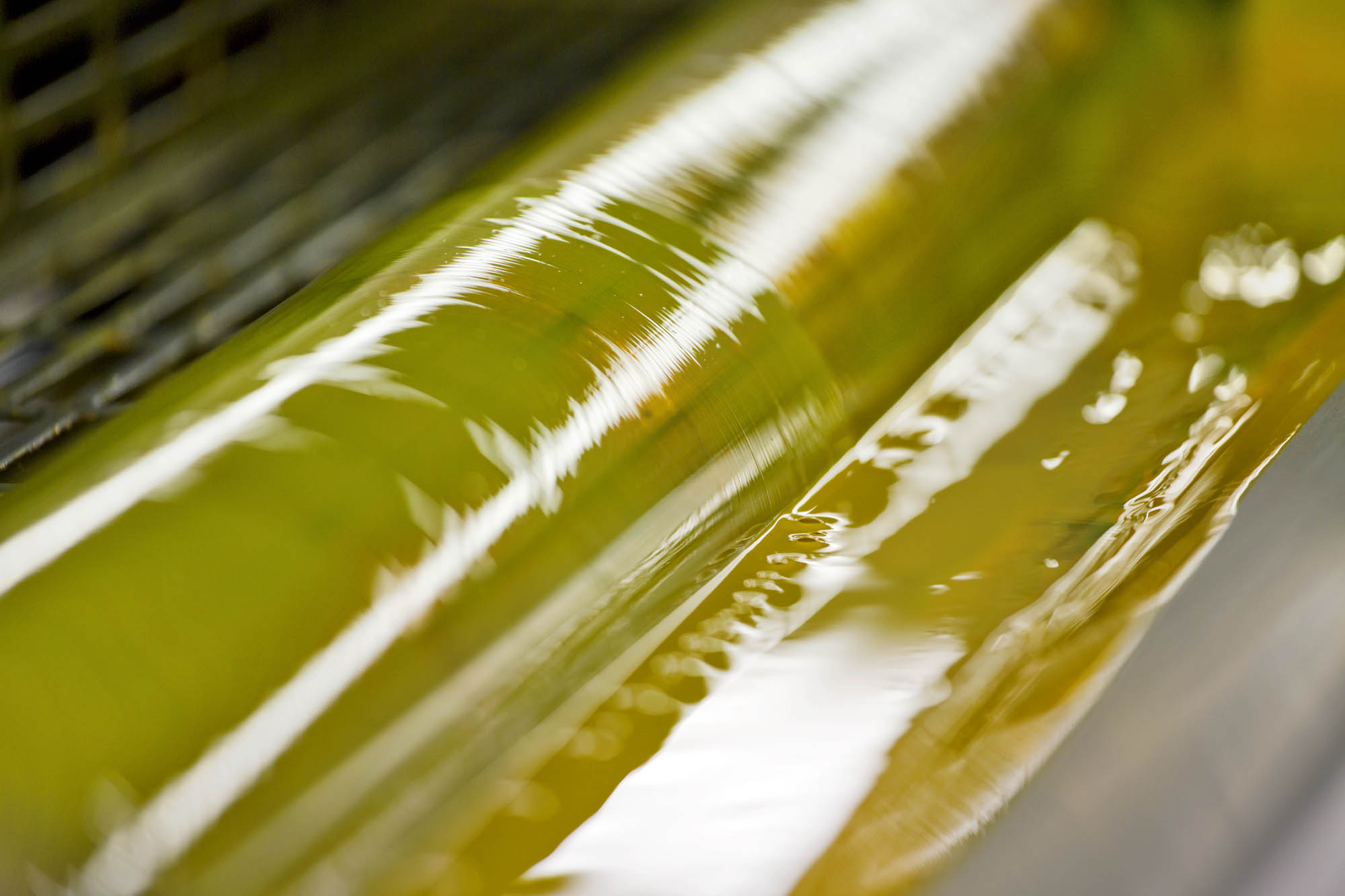 Foto CORPORATE Asolo  G.S. Stampa