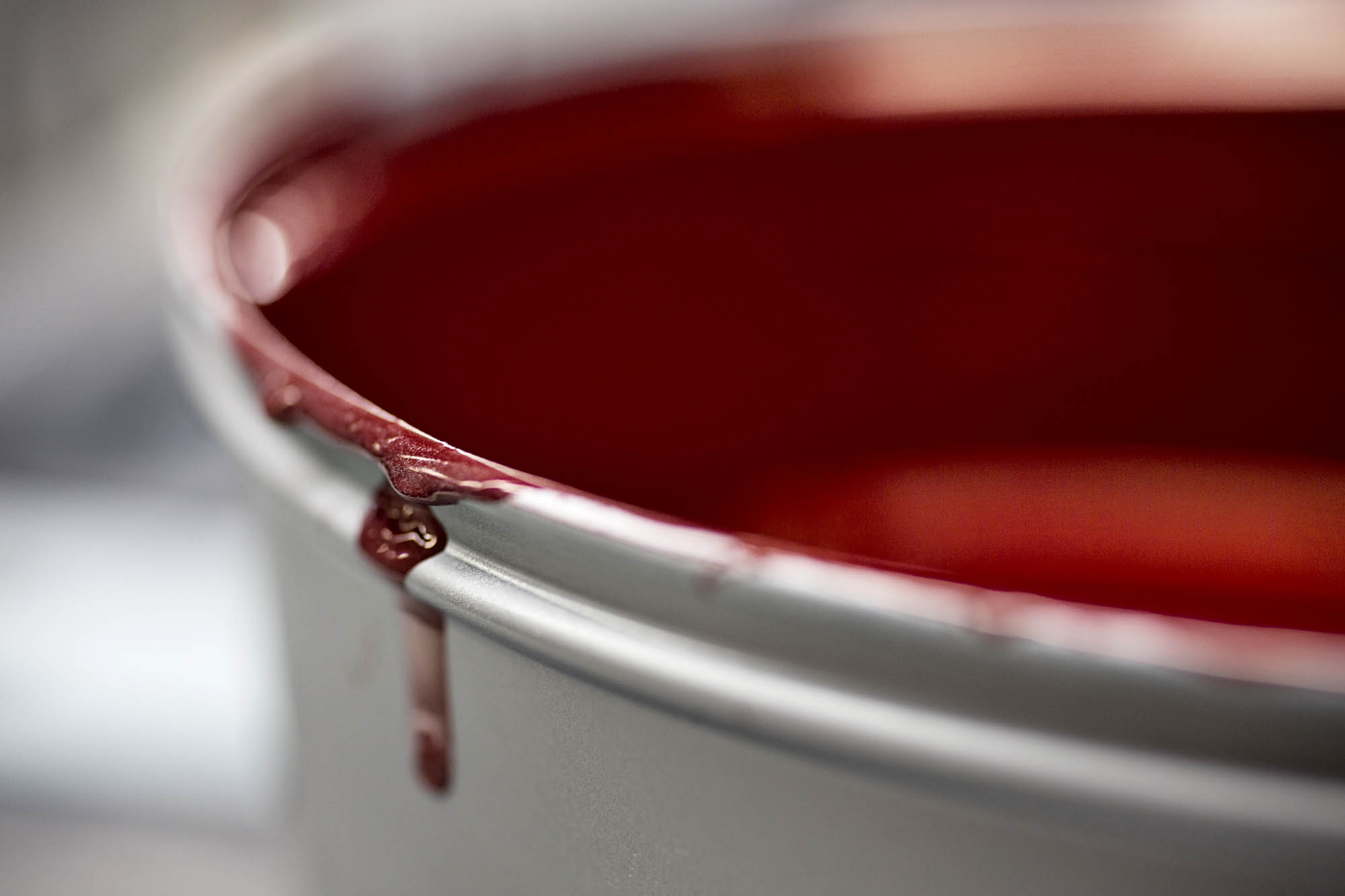 Foto CORPORATE Asolo  G.S. Stampa