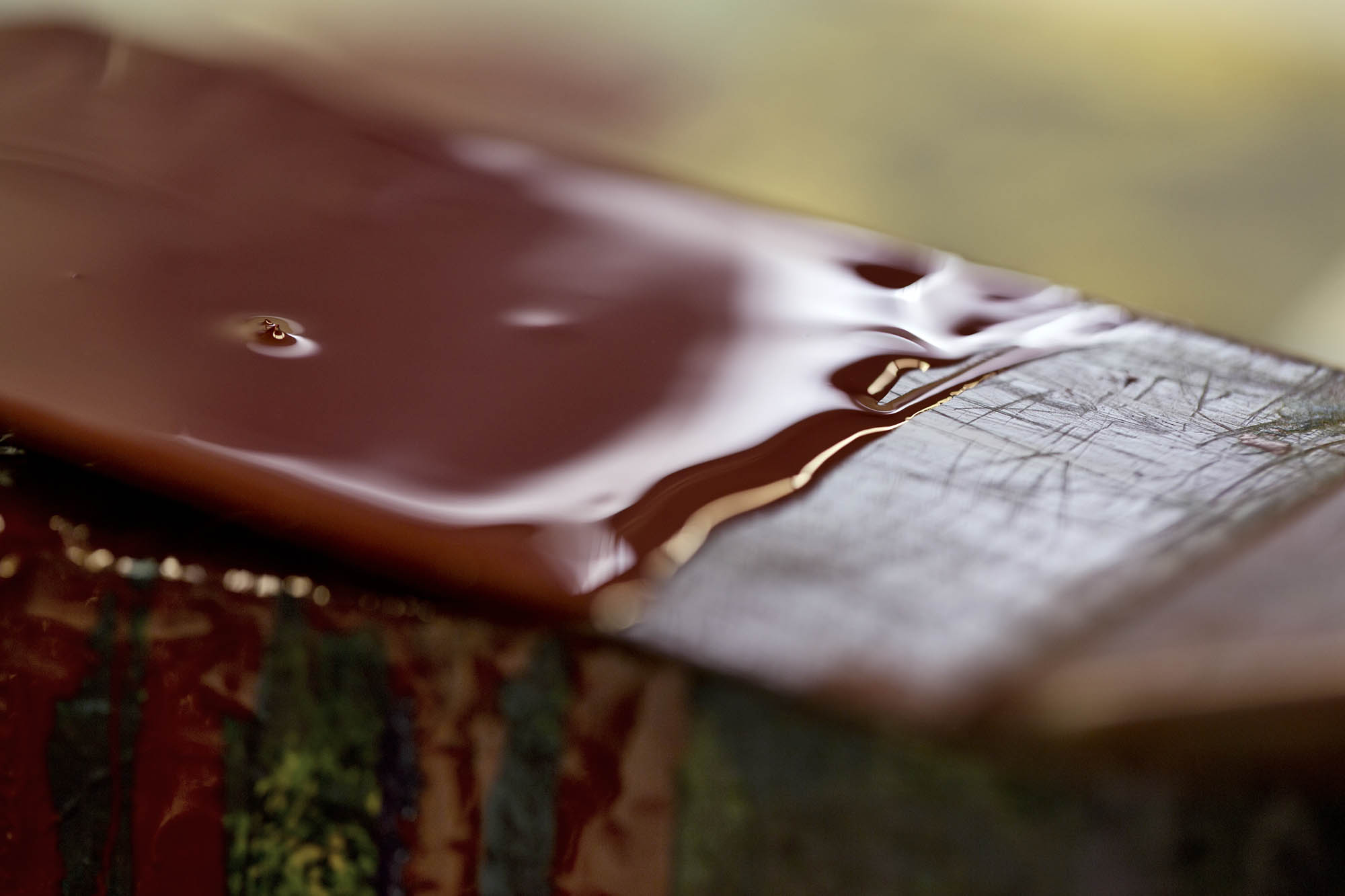 Foto CORPORATE Asolo  G.S. Stampa