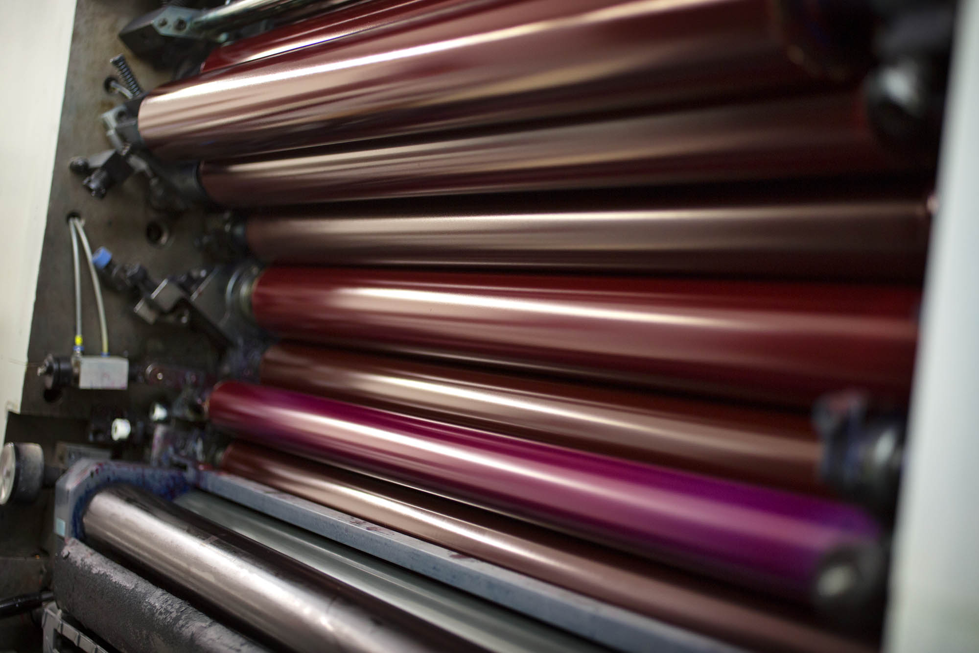 Foto CORPORATE Asolo  G.S. Stampa