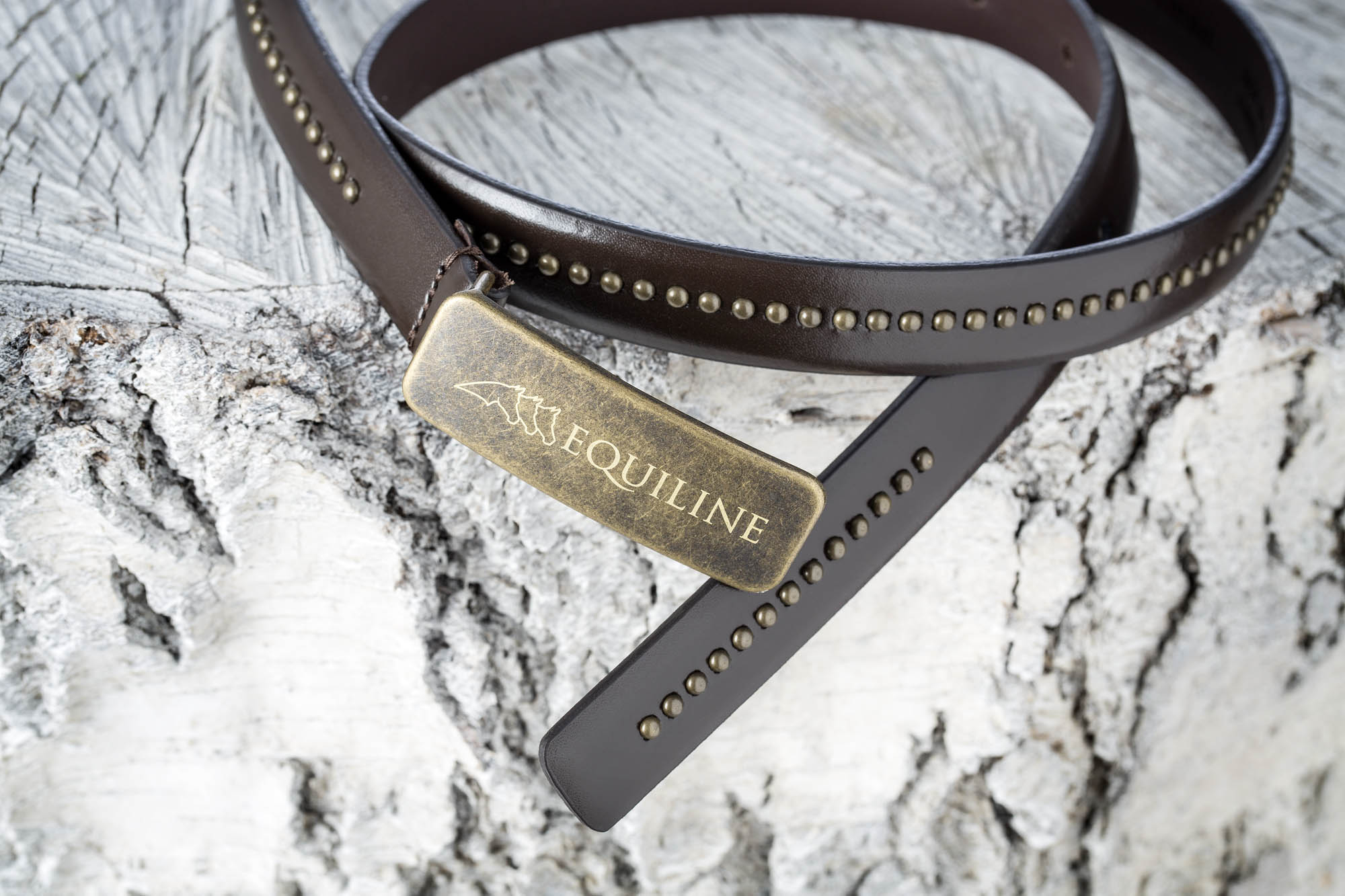 Foto FASHION Trebaseleghe Equiline Equiline