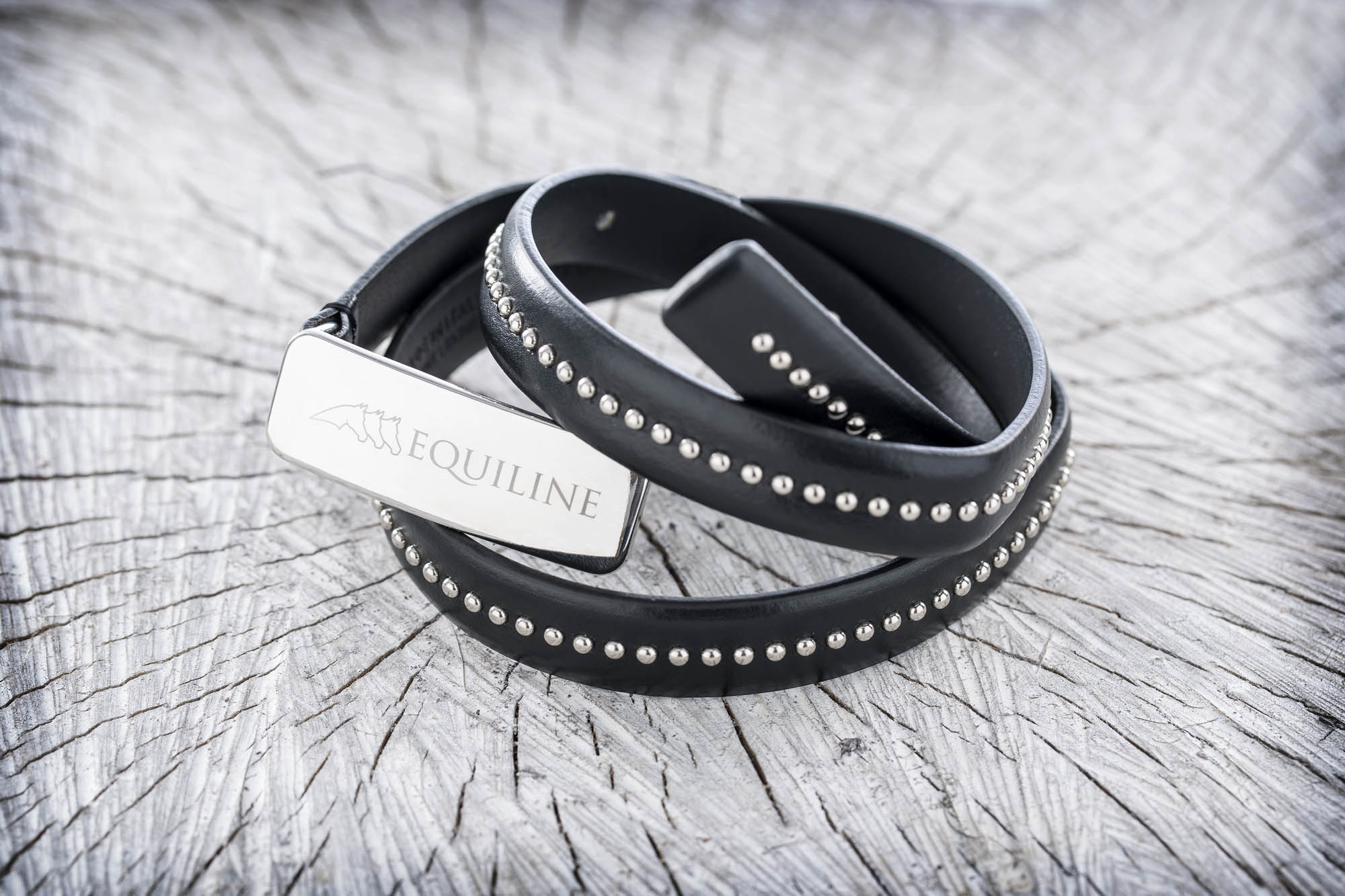 Foto FASHION Trebaseleghe Equiline Equiline