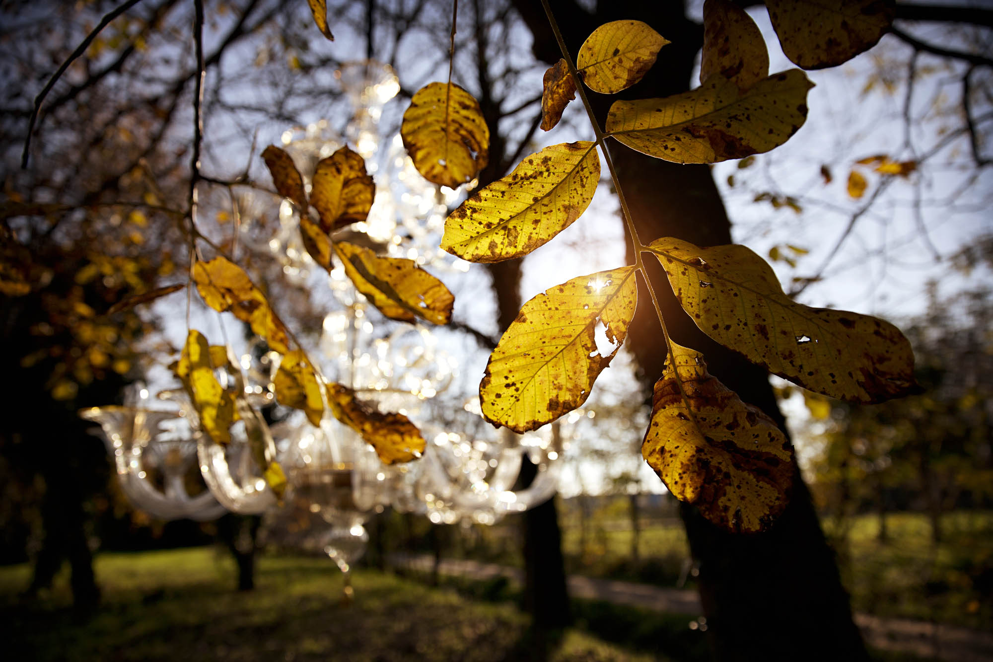 Foto COMMERCIAL Trebaseleghe Multiforme Lighting Multiforme Lighting