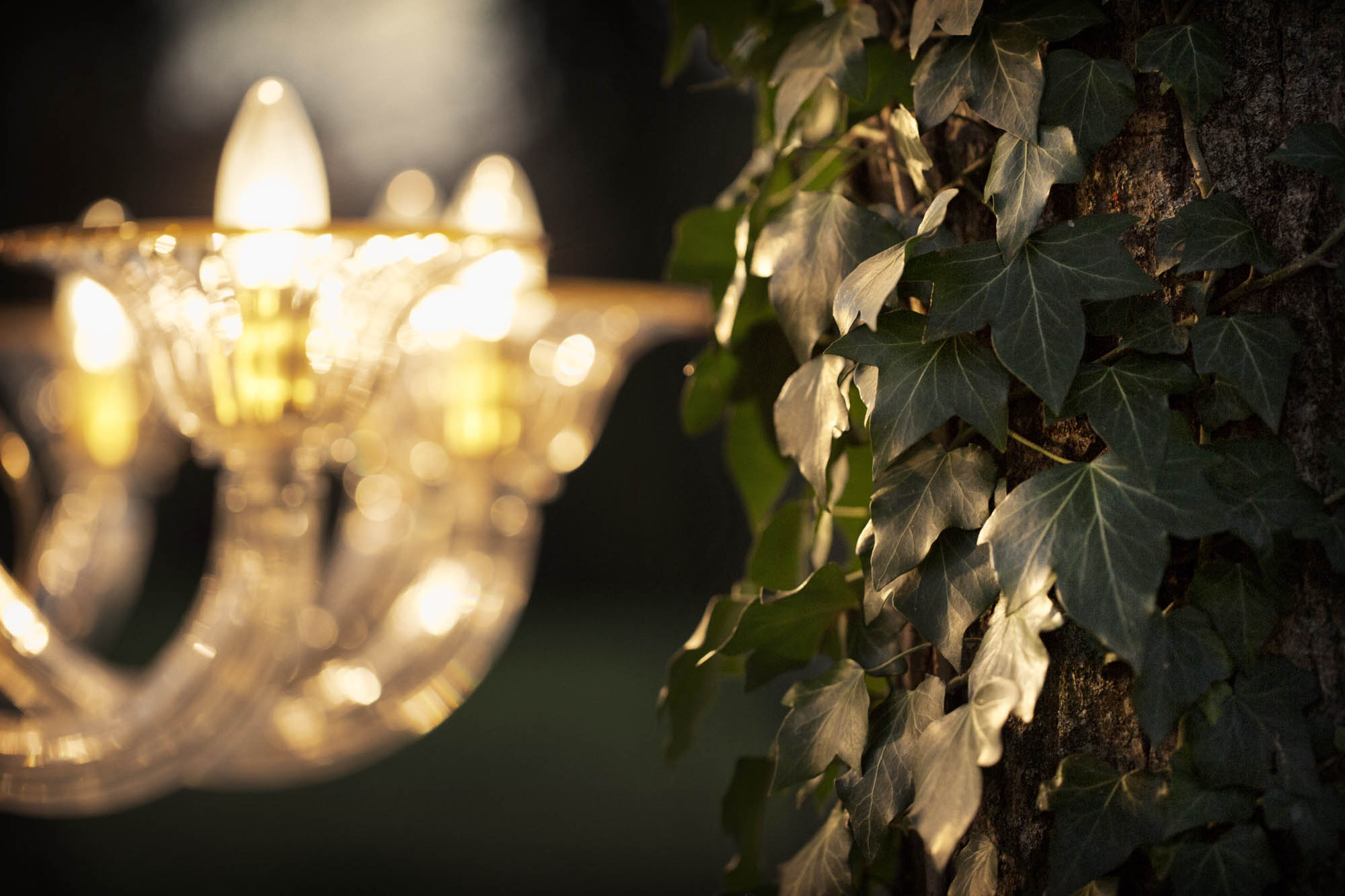 Foto COMMERCIAL Trebaseleghe Multiforme Lighting Multiforme Lighting