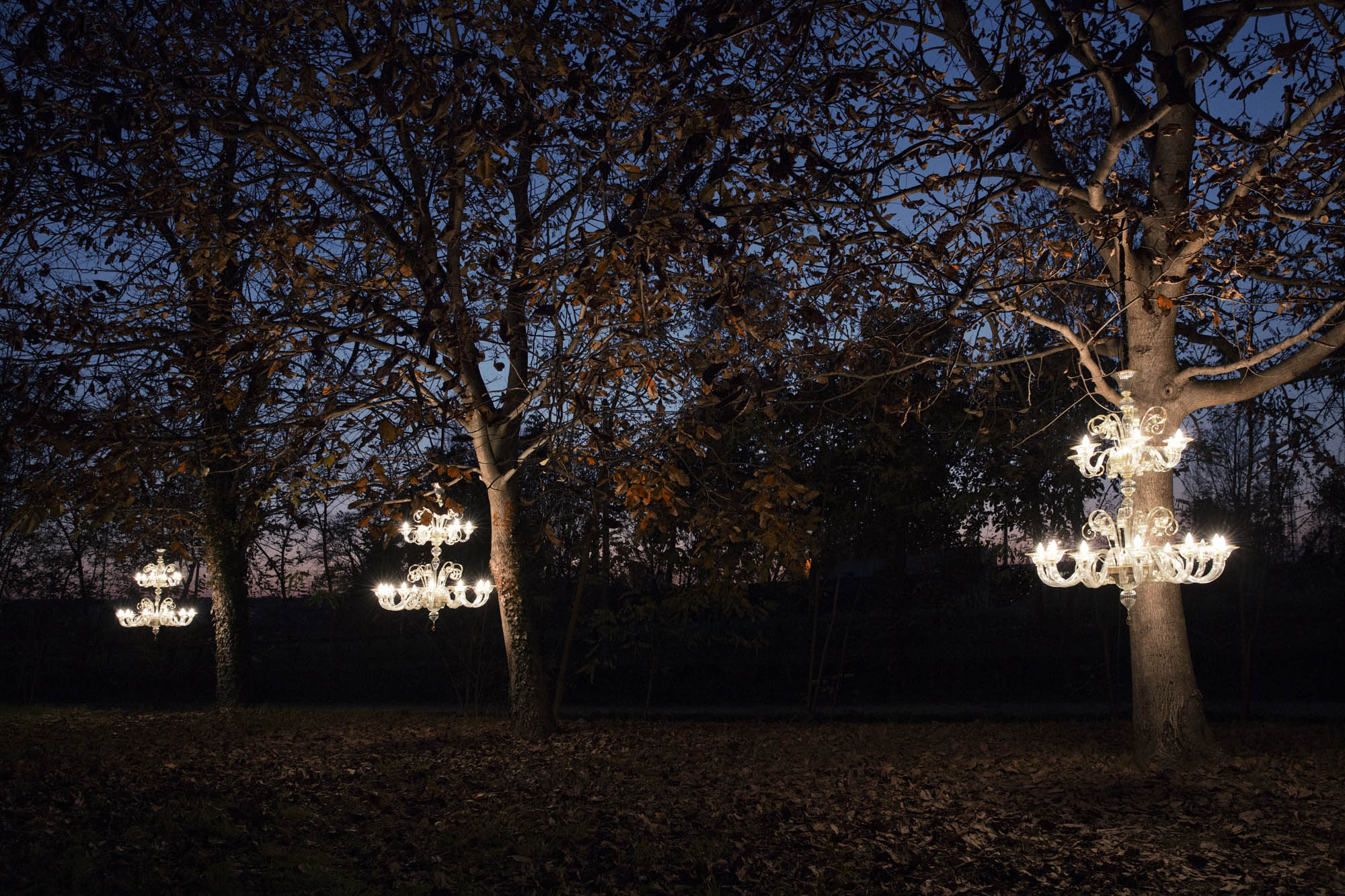 Foto COMMERCIAL Trebaseleghe Multiforme Lighting Multiforme Lighting