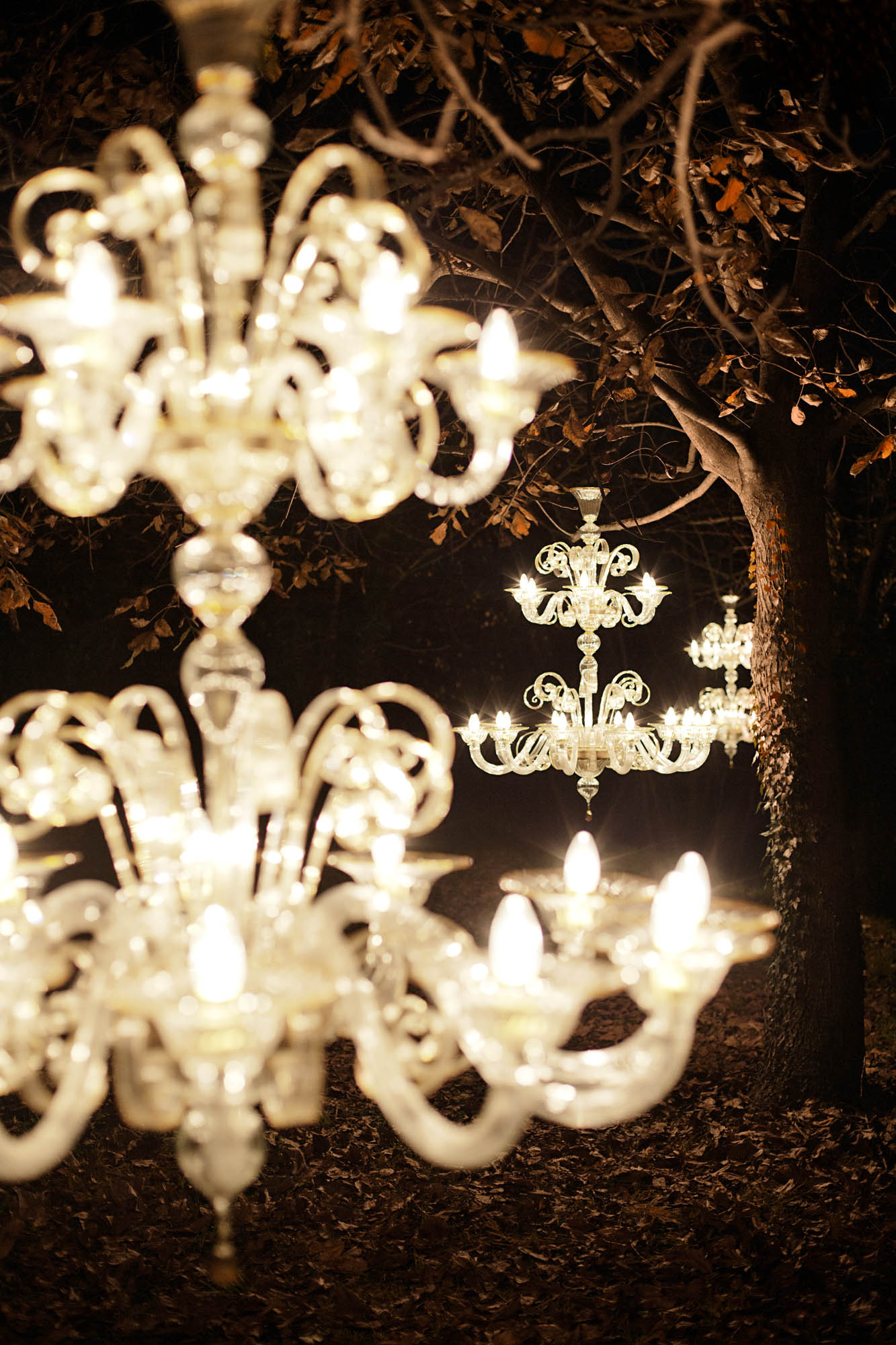 Foto COMMERCIAL Trebaseleghe Multiforme Lighting Multiforme Lighting