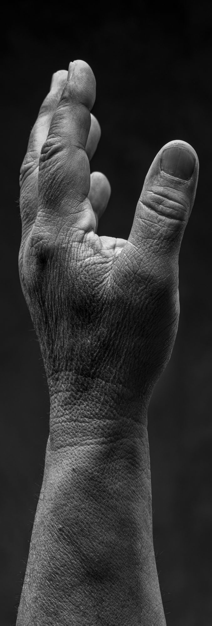 Foto PORTRAIT   Cazzaro Costruzioni