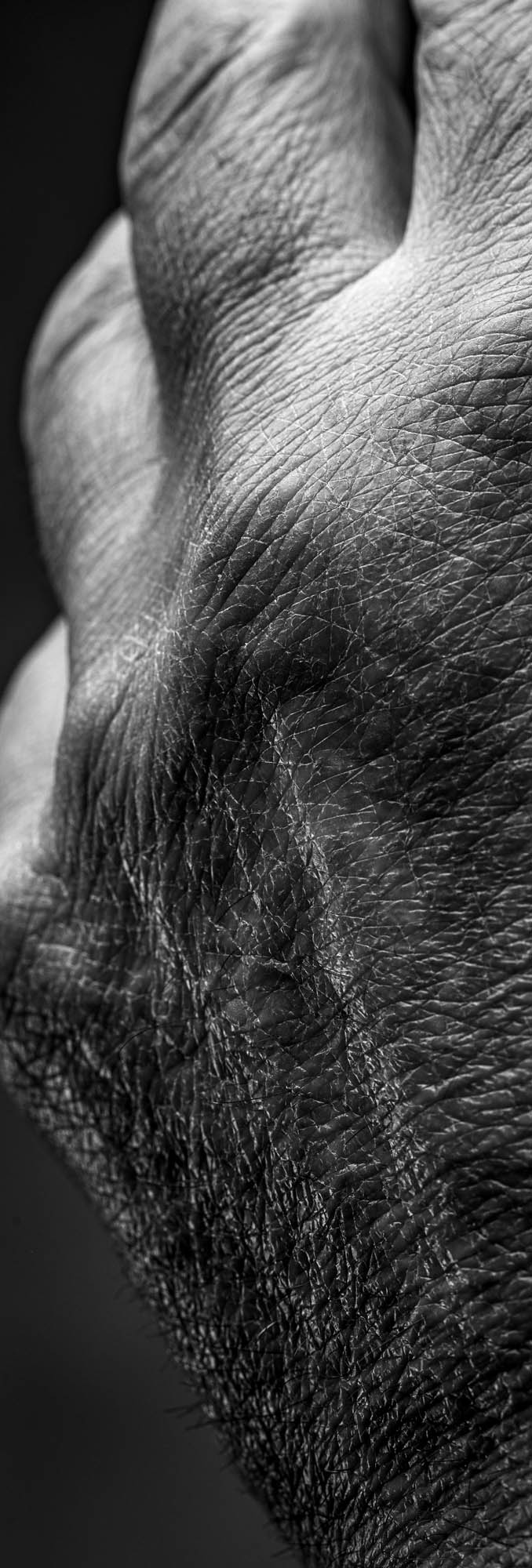 Foto PORTRAIT   Cazzaro Costruzioni