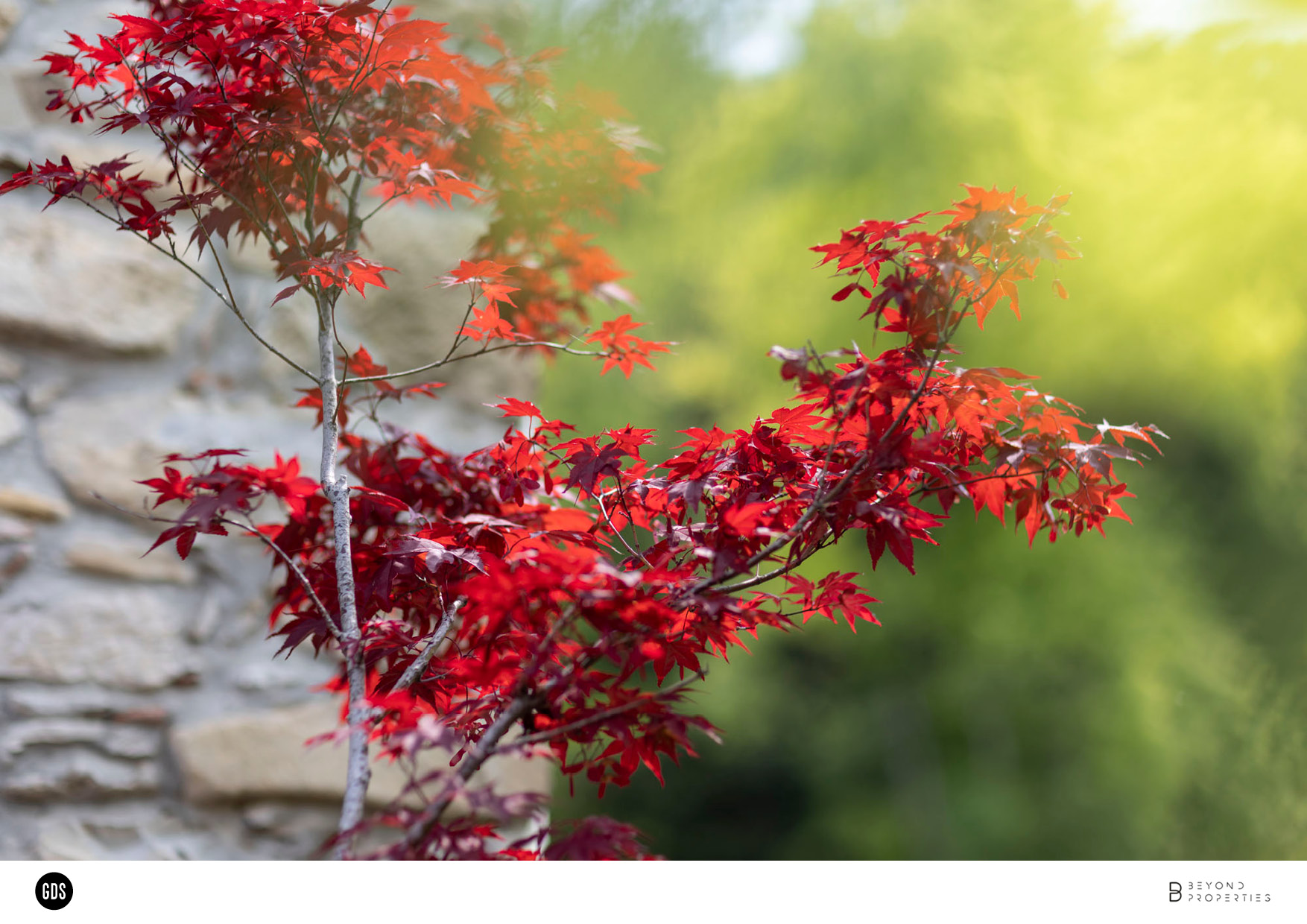 Foto ARCHITETTURA Piacenza Sariano di Gropparello Beyond Properties