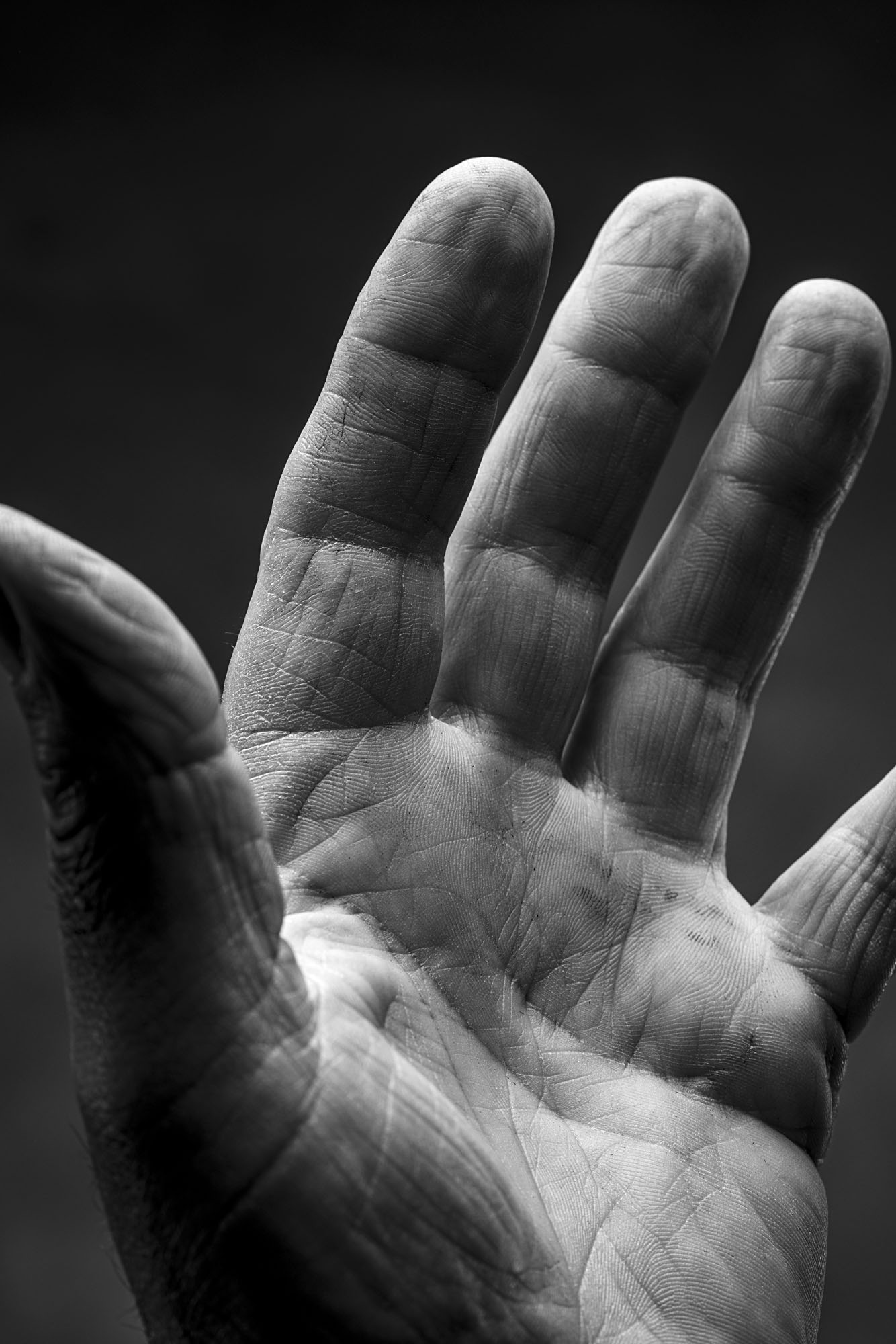 Foto PORTRAIT Treviso Location privata Cazzaro costruzioni