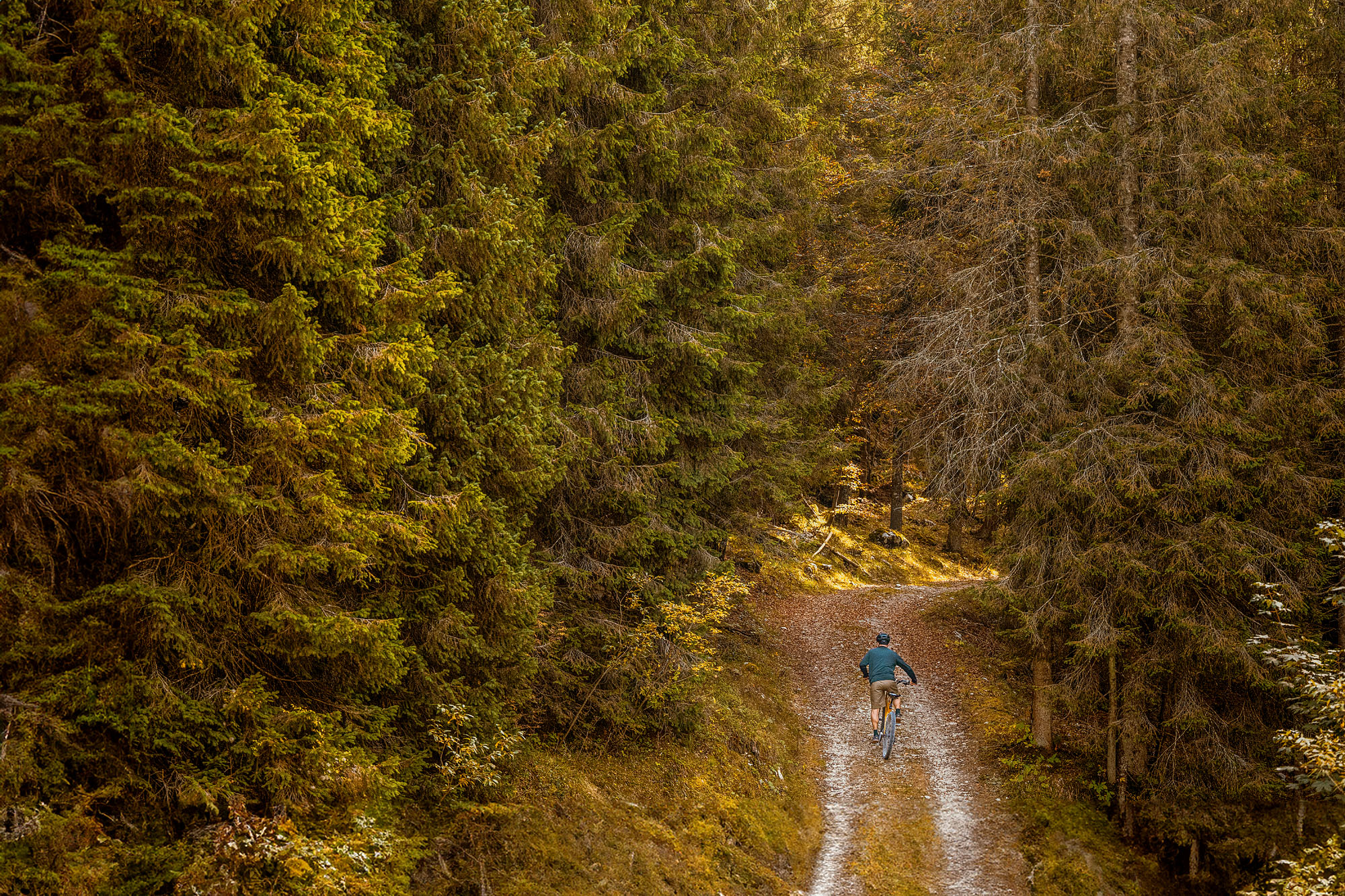 Foto COMMERCIAL Asiago Piana della Marcesina Brooks