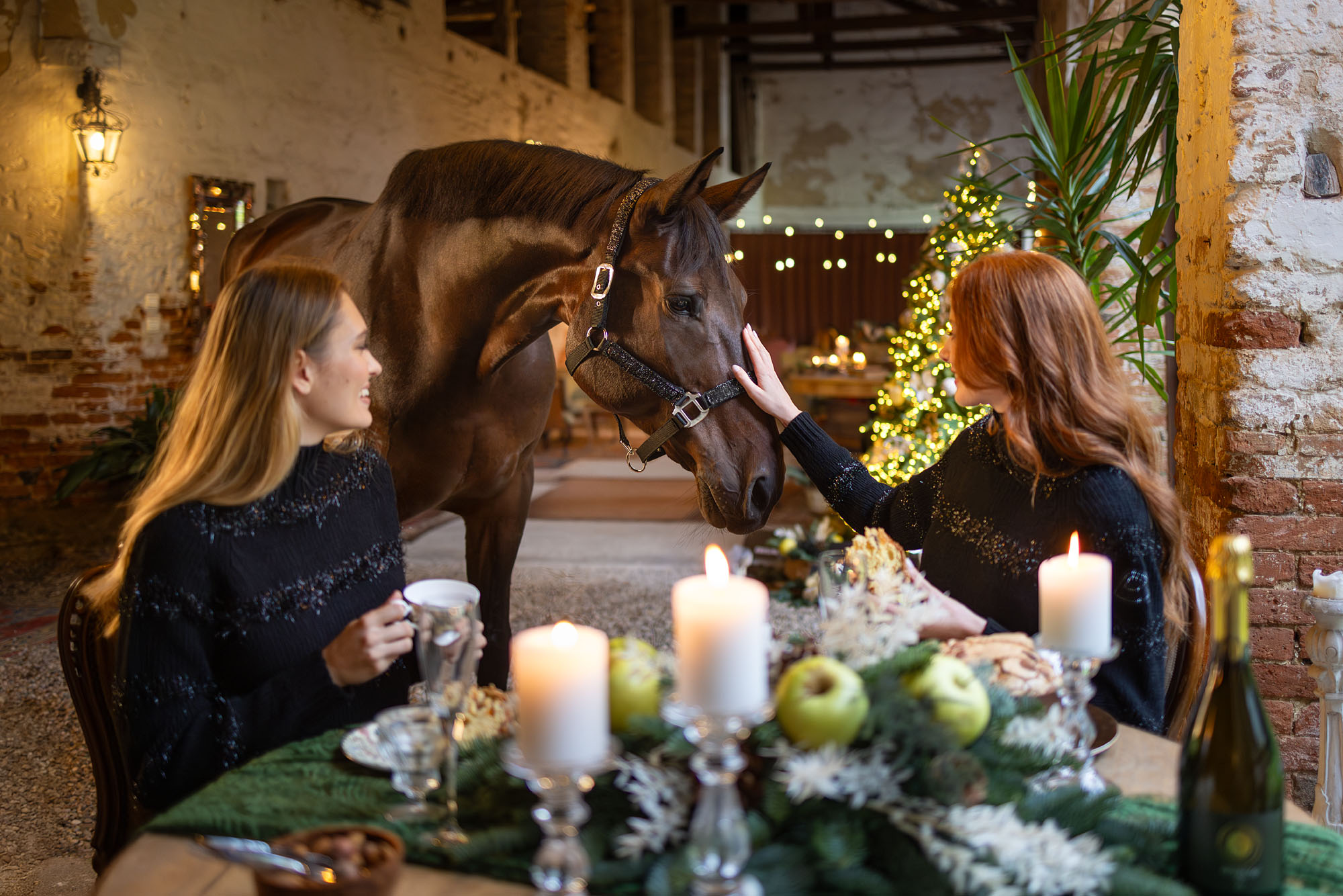 Foto FASHION   Equiline