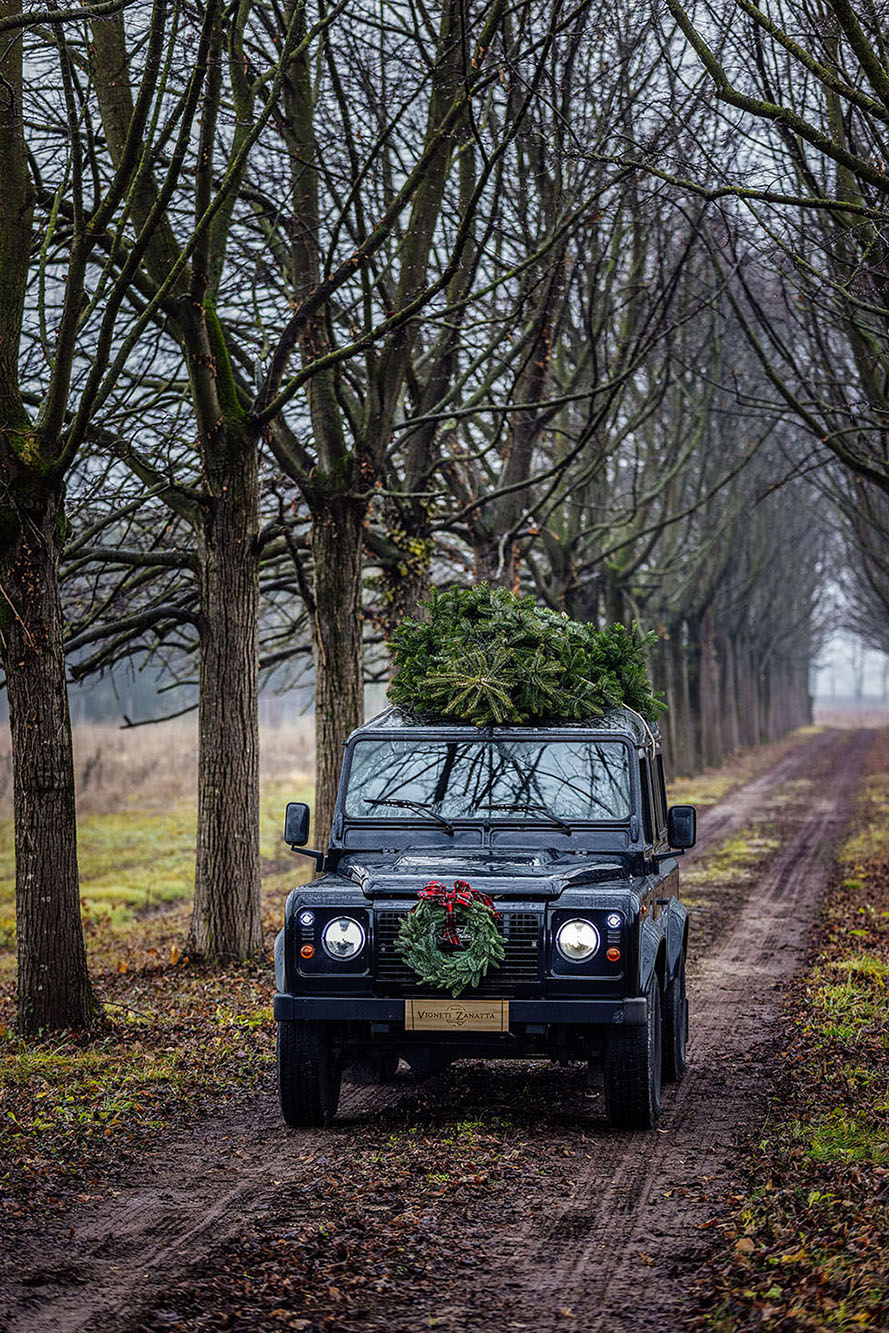 Foto CORPORATE   Vigneti Zanatta