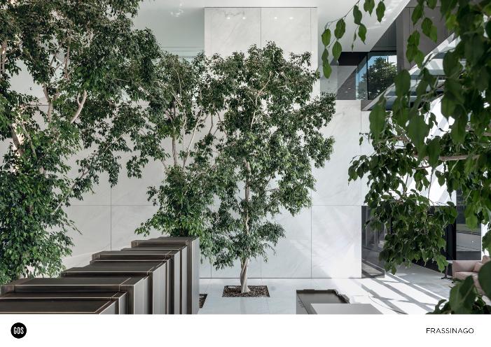 Foto ARCHITETTURA   FRASSINAGO